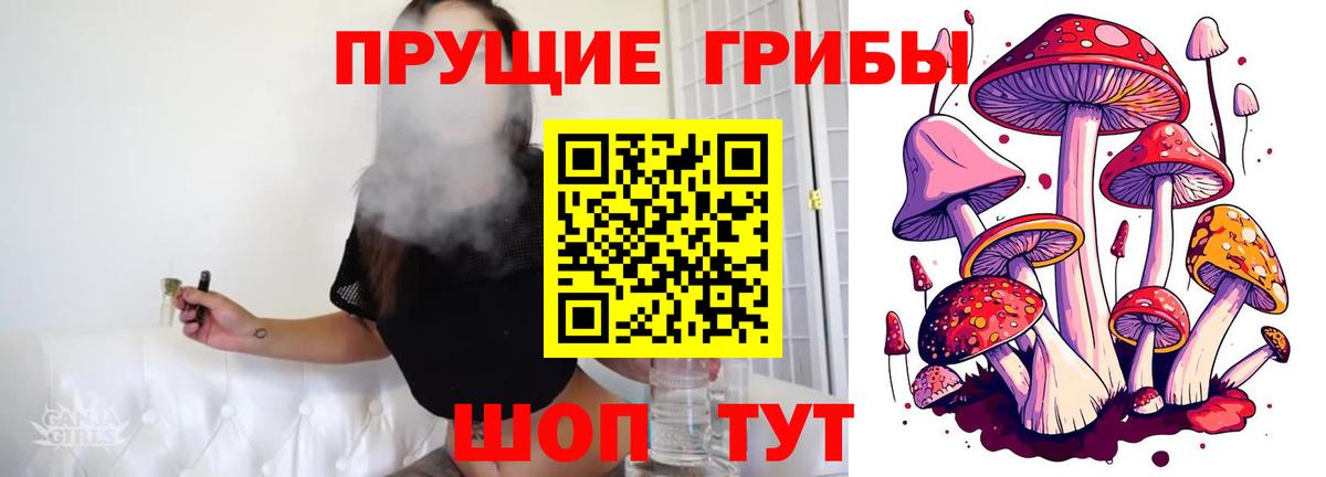 Псилоцибиновые грибы ЛСД  Вход с VPN  Йошкар-Ола 