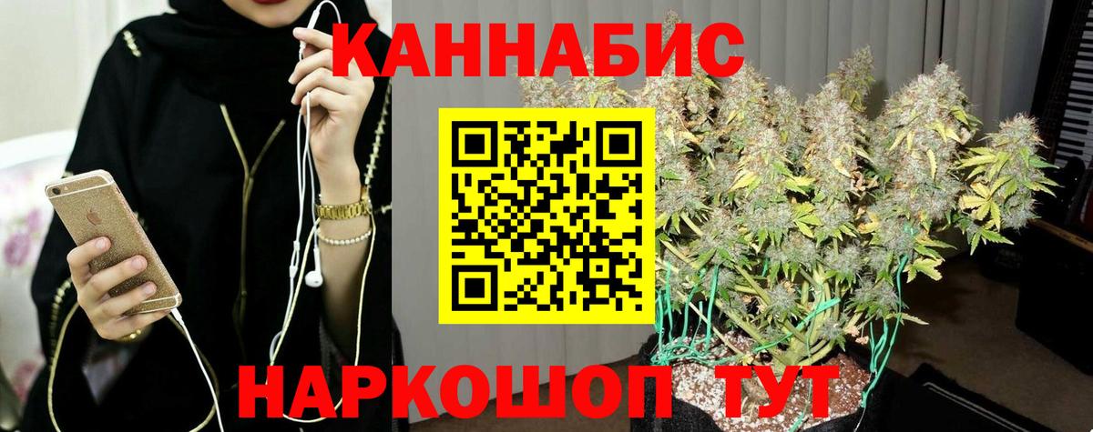Бошки Шишки марихуана Йошкар-Ола